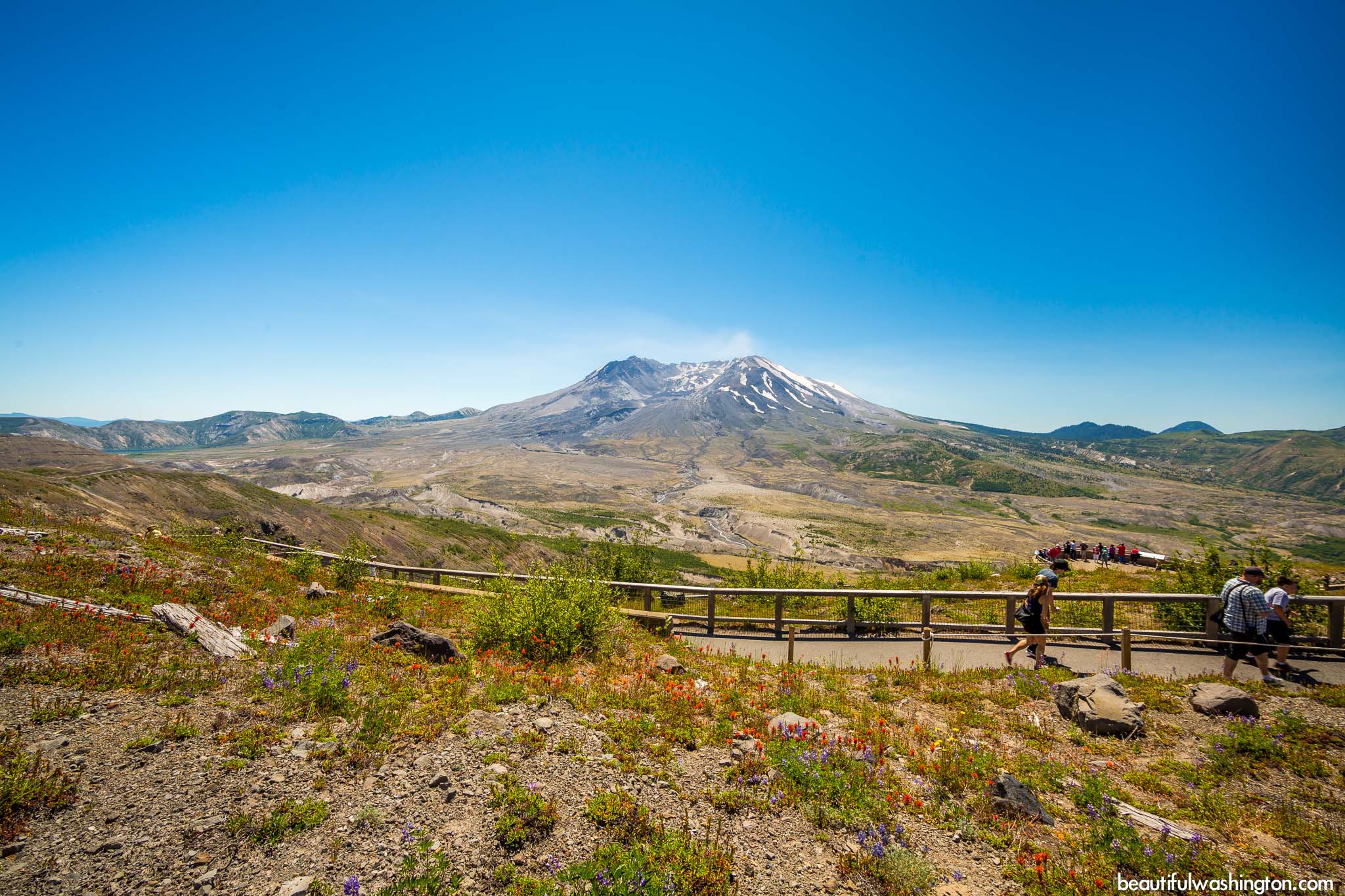 Photo from Mount St. Helens Area, Harry's Ridge Trail